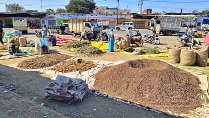 MP News: Thorns, leaves and peels are sold in the agricultural produce market of Neemuch in Madhya Pradesh