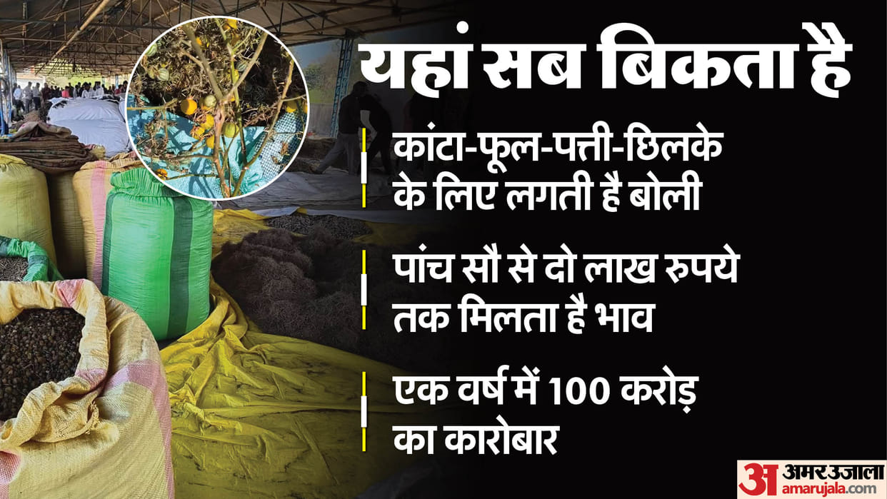 MP News: Thorns, leaves and peels are sold in the agricultural produce market of Neemuch in Madhya Pradesh