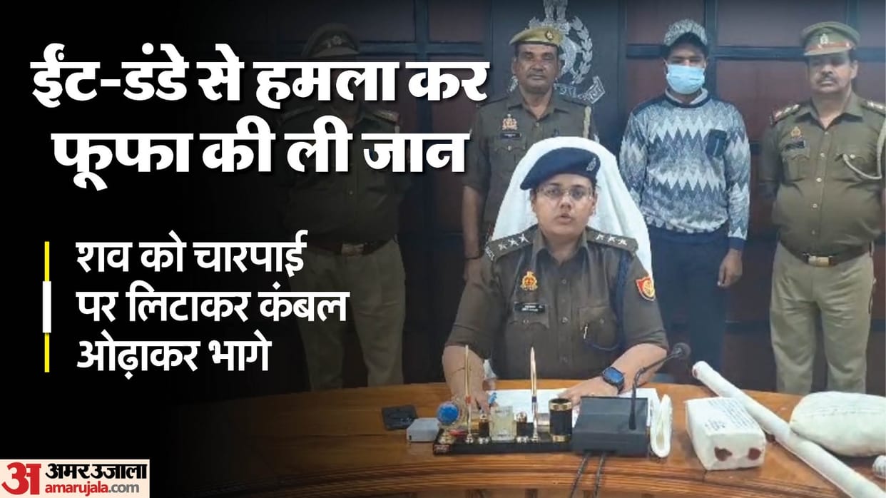 Nephew murdered his uncle over property division in Hapur