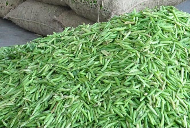 Vegetables became cheaper due to change in weather