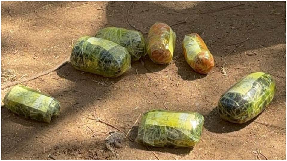 Neemuch CBN team seized seven kilos of opium in Jaipur, one smuggler arrested