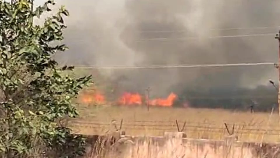 Panchkula Forest fire breaks out near TBRL campus