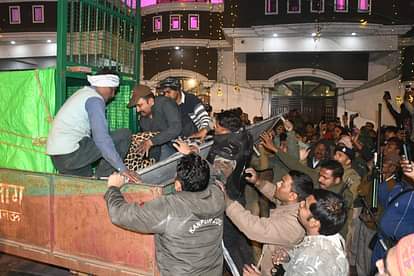 Lucknow: Leopard entered the marriage lawn, stampede in the marriage procession, rescue was possible at 3.30 i