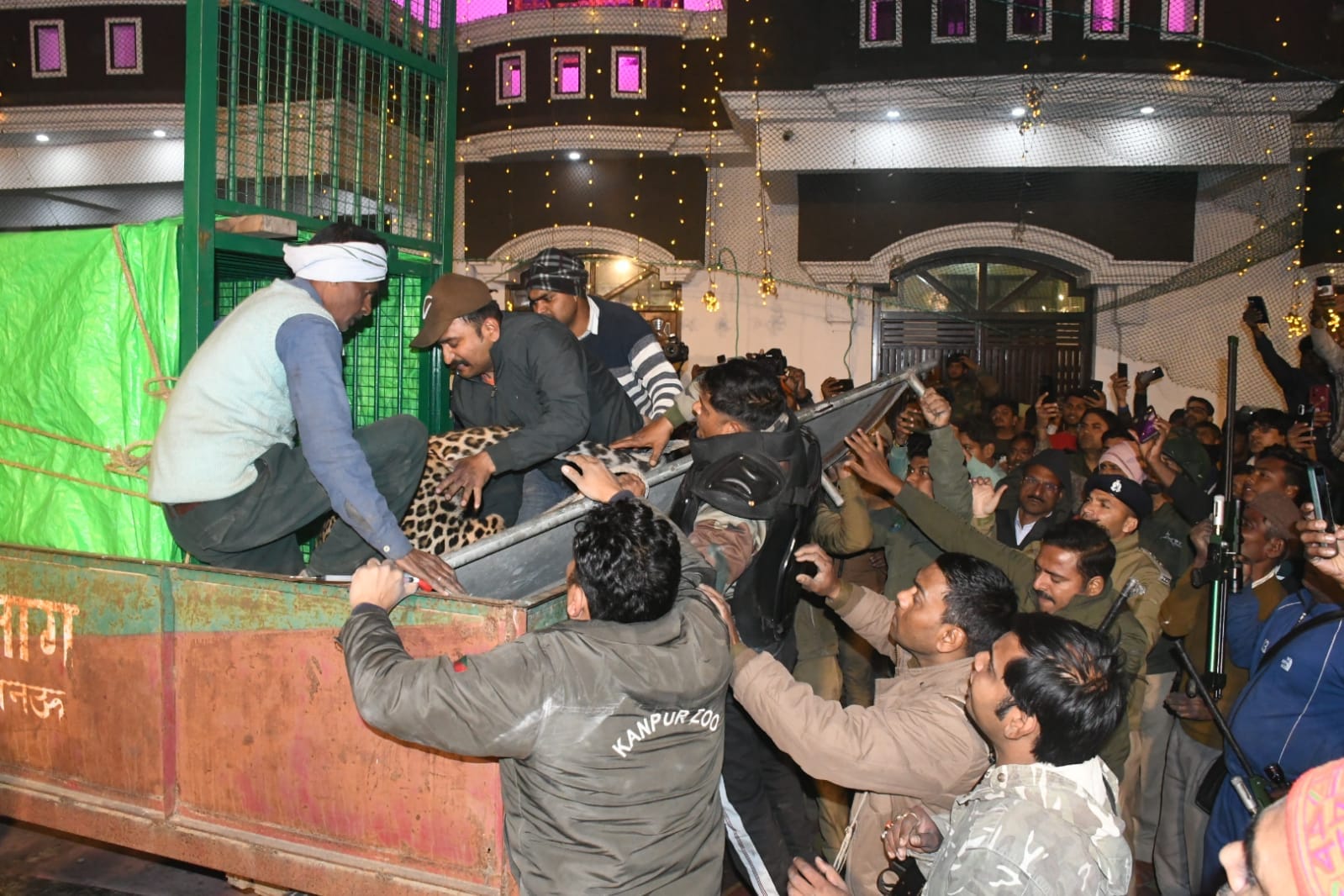leopard caught after seven hours of effort which created havoc in marriage lawn in Lucknow released in Dudhwa