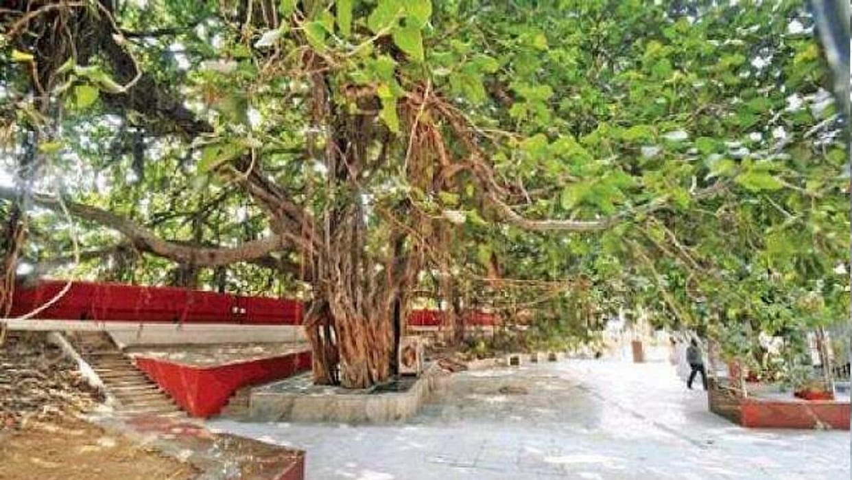 When the British had imposed tickets for Akshay Vat darshan, the decision was withdrawn due to the protest of