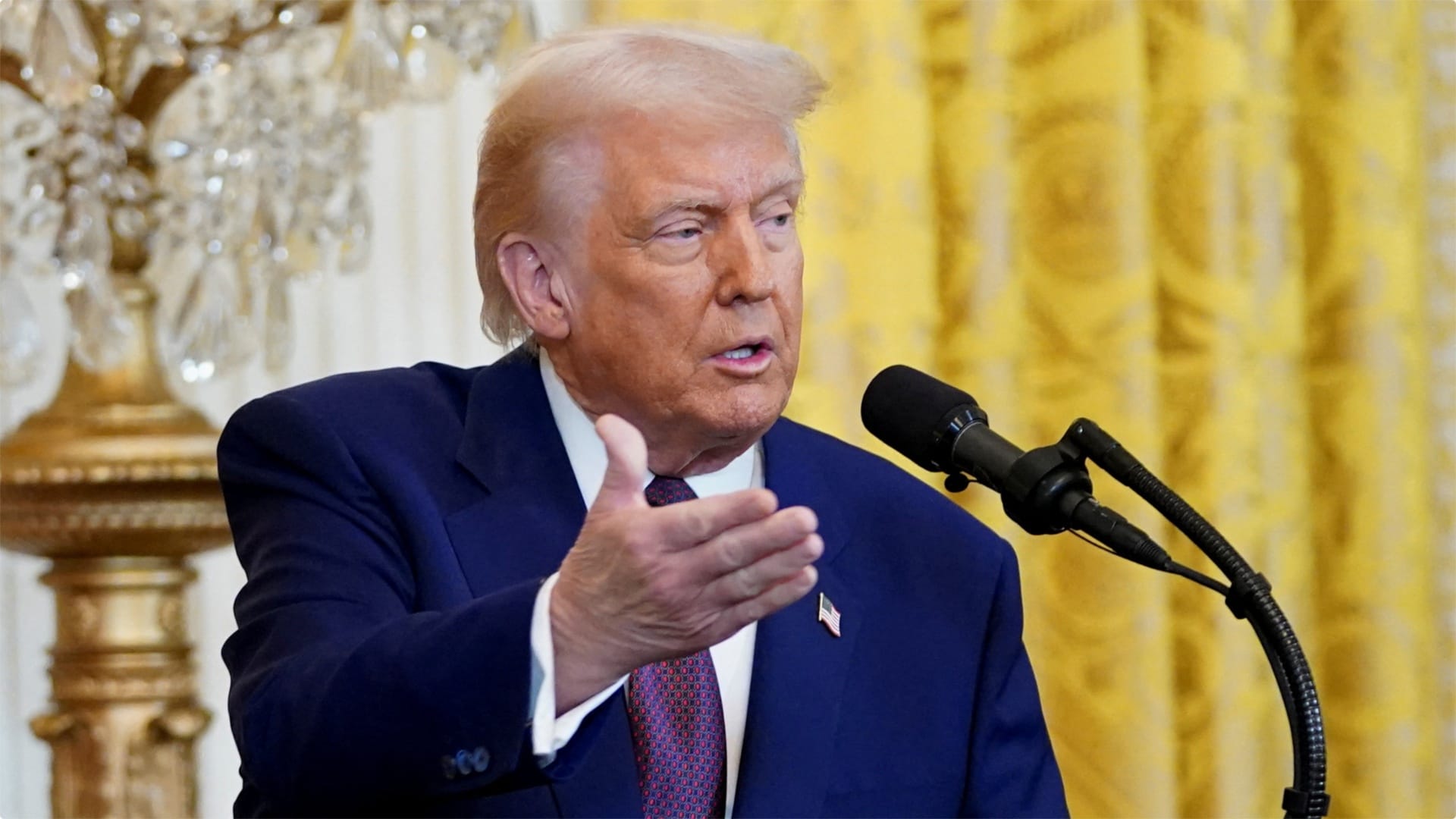 President Donald Trump says protesters vandalizing Tesla stores should be considered domestic terrorists