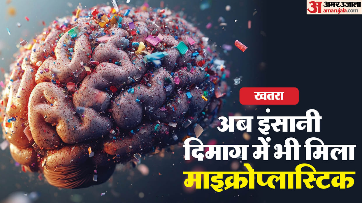 World Kidney Day 2025 Microplastic found in Human Brain after kidney and liver Know Its Harmful Effects