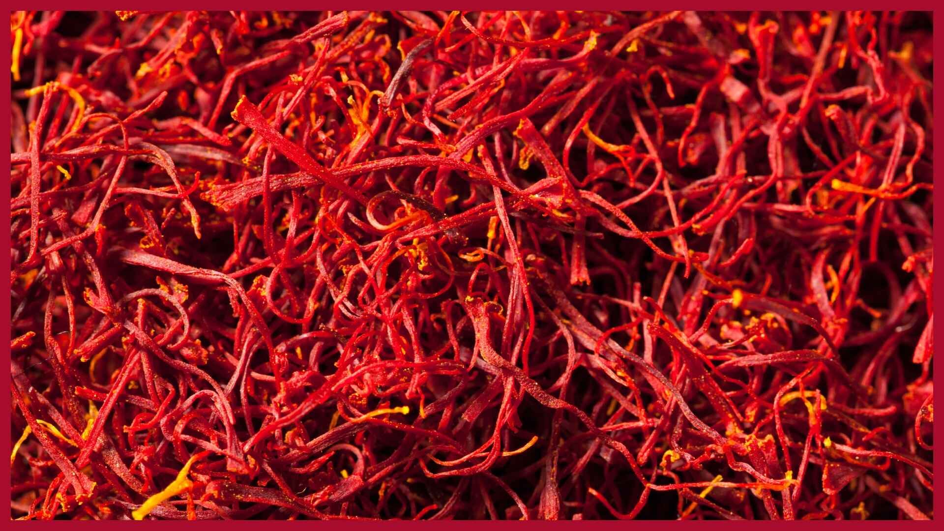 Holi 2025 Offer marigold saffron rose hibiscus gulal to Laddu Gopal to attract wealth and prosperity