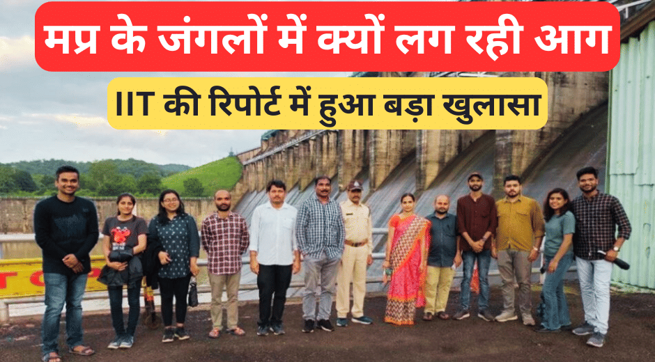 mp Indore News Forest Fires IIT Indore Study Calls for Policy Reforms