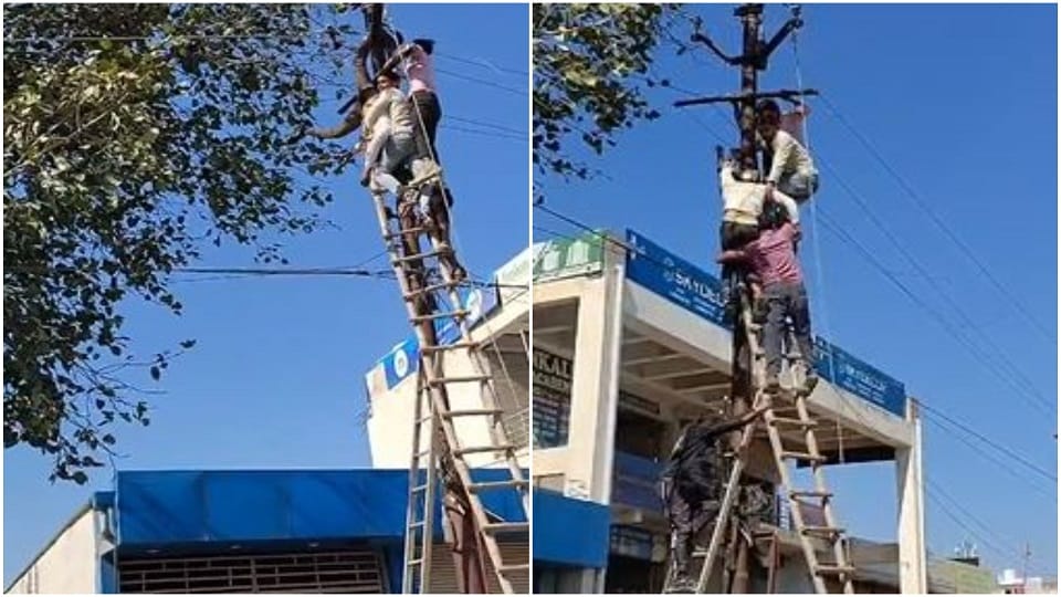 Death occurred on an electric pole employee climbed up to lay a new line but could not get down again