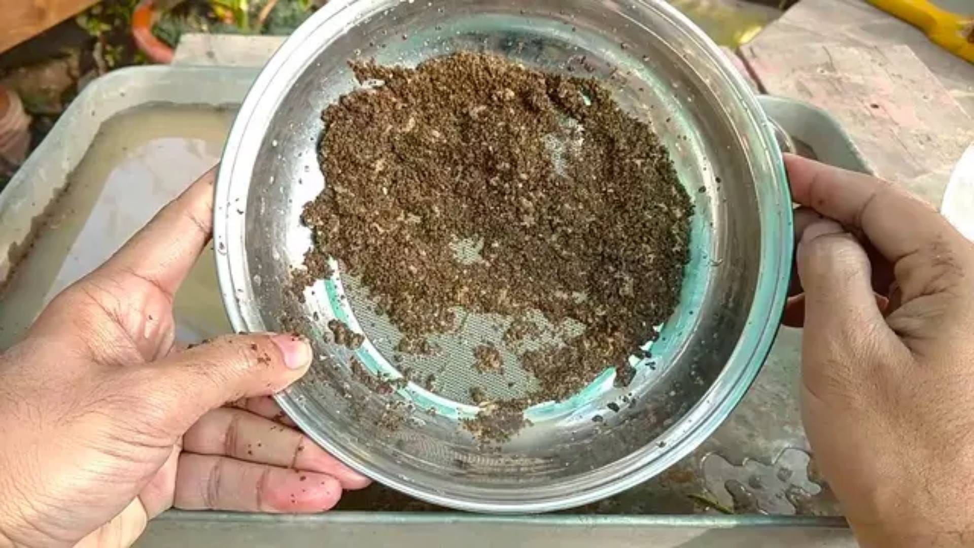 Benefits Of Used Tea Leaves After making it we throw away the remaining tea leaves they can be reused