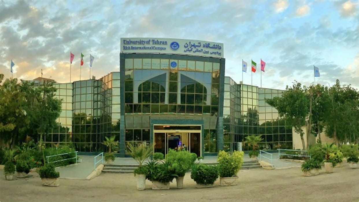 Iran's vice-president orders probe into killing of university student during robbery