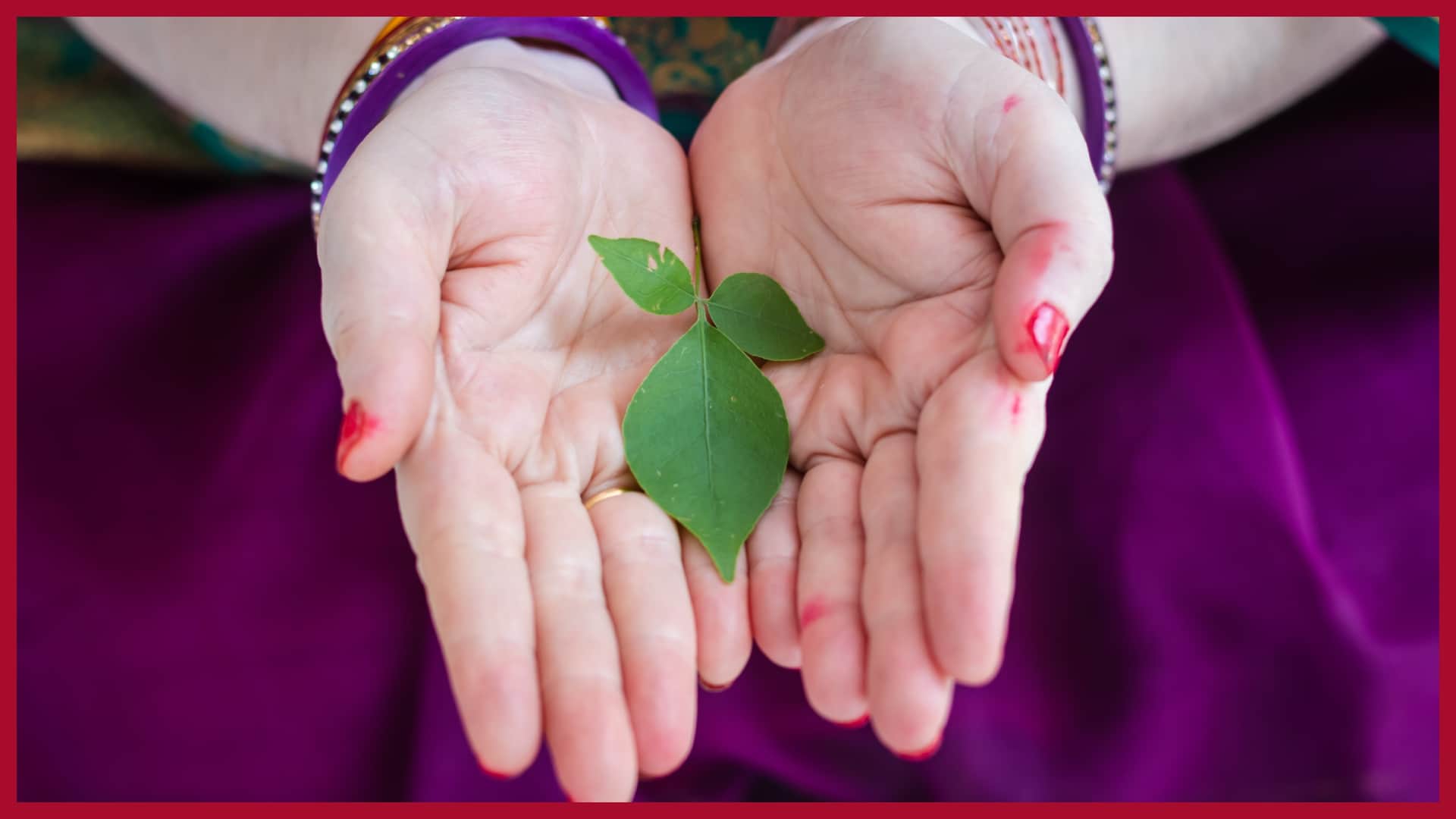 Belpatra significance why three leaf belpatra is offered to lord shiva sawan shivling puja vidhi