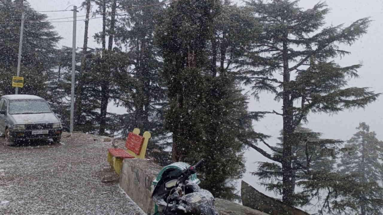 Snowfall in Chakrata Yamunotri Auli Uttarakhand Weather News Update Watch Photos