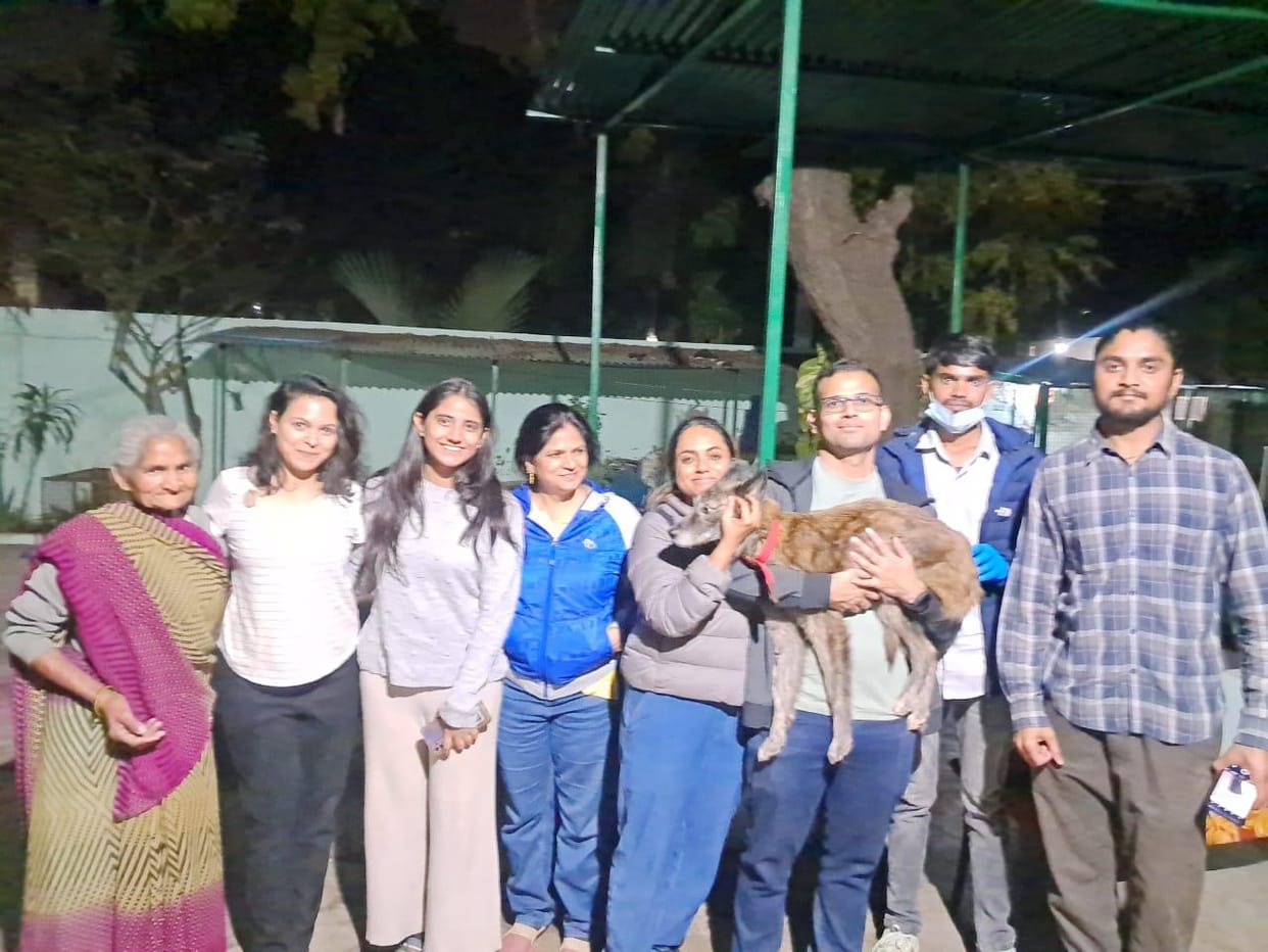 Couple gets their dog back after 104 days in Agra