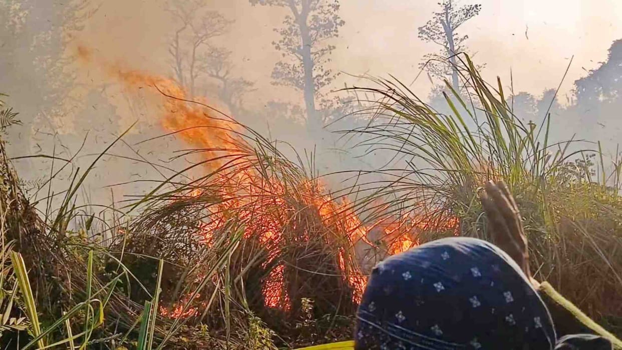Bihar News: A massive fire broke out in the Valmiki Tiger Reserve in Bettiah