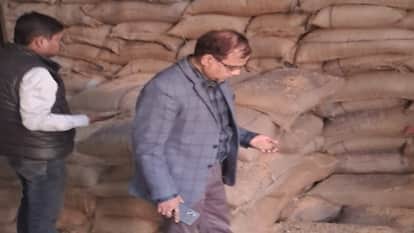 Insects infest wheat kept in FCI warehouse