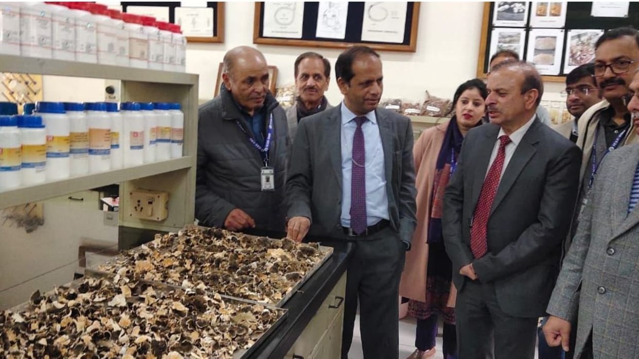 Himachal Mushroom Directorate Solan collected 4092 mushroom germplasm from across the country