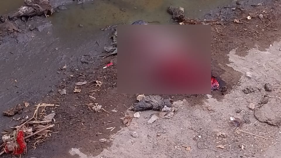 Body of newborn girl found in Bhiwani