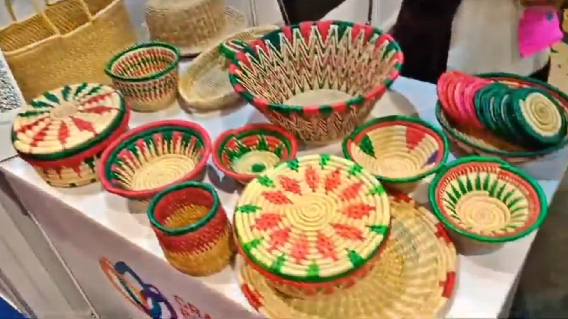 Bihar: Art of Nirmala Devi and Kaushalya Devi of Bagha got national recognition, PM Modi praised them in Delhi