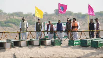 MP News CM Mohan Yadav Released 10 Crocodiles in Chambal River Natural Wealth of Our Country