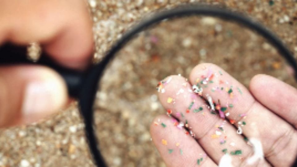 Plastic Menace terrible impact on Human mind and health threat to nearly 800 marine and coastal species