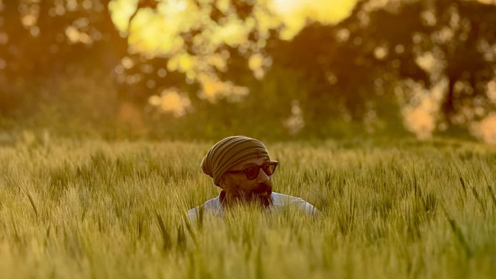 Sunny Deol is preparing for Baisakhi in the fields showed a glimpse to the fans said Jaat is on fields