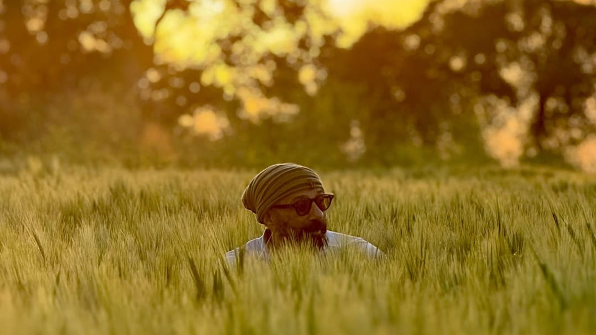 Sunny Deol is preparing for Baisakhi in the fields showed a glimpse to the fans said Jaat is on fields