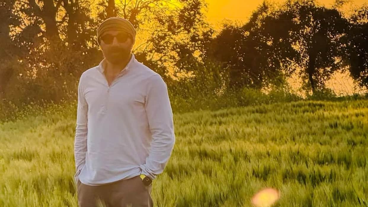Sunny Deol is preparing for Baisakhi in the fields showed a glimpse to the fans said Jaat is on fields