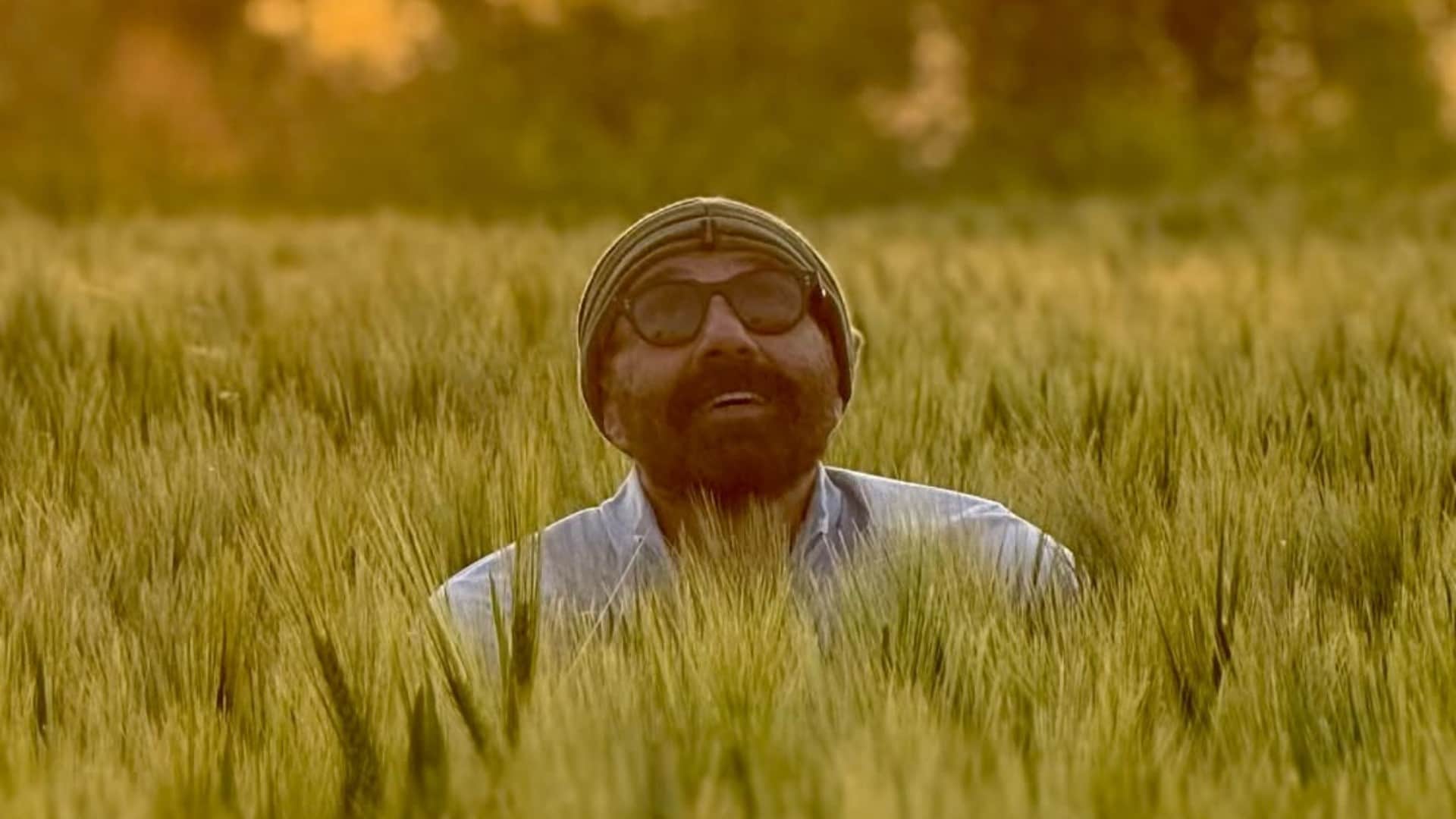 Sunny Deol is preparing for Baisakhi in the fields showed a glimpse to the fans said Jaat is on fields