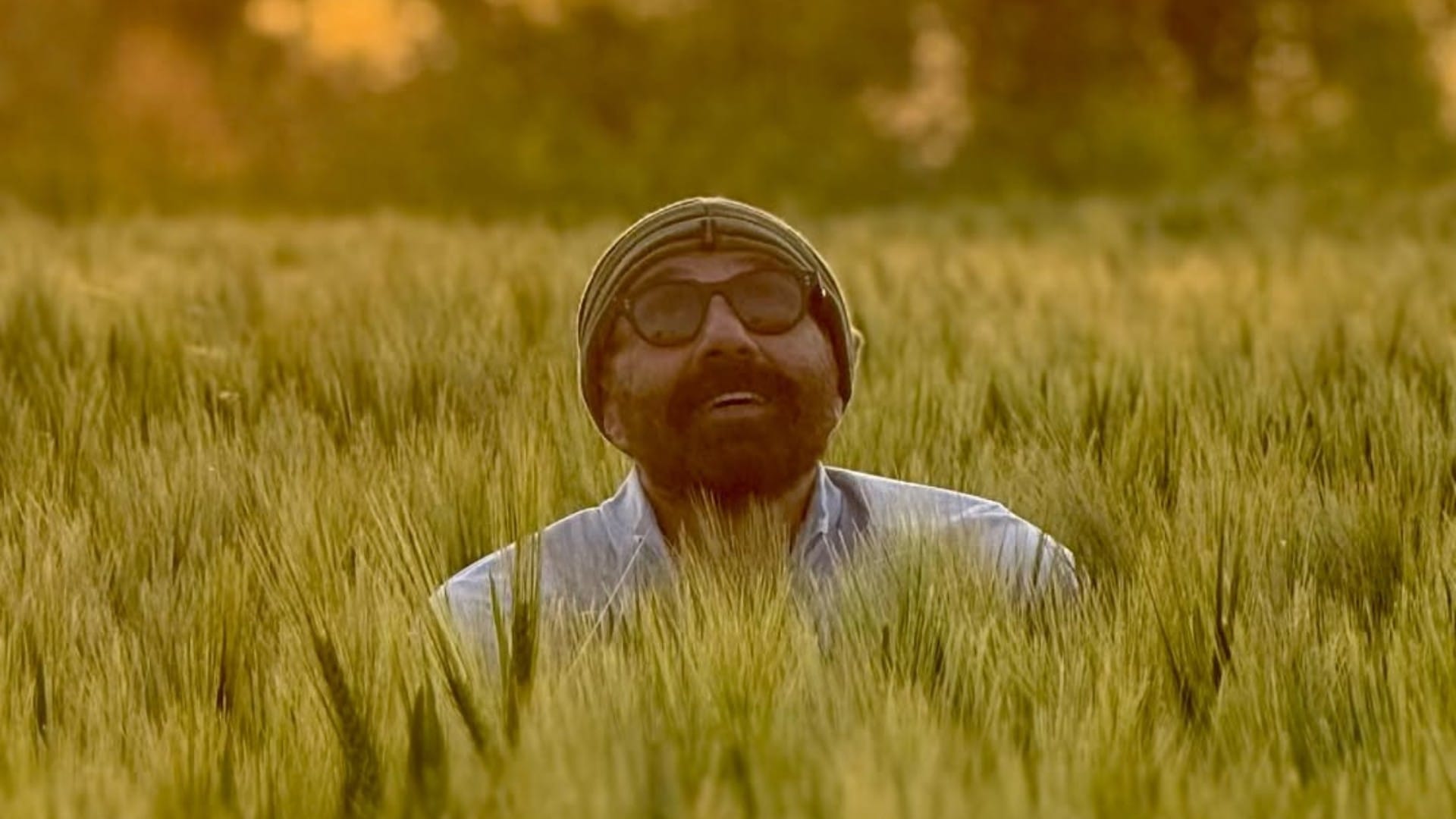 Sunny Deol is preparing for Baisakhi in the fields showed a glimpse to the fans said Jaat is on fields