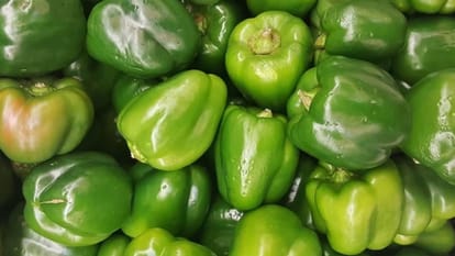 what are the most vitamin c rich foods full list in hindi sabse jyada vitamin c kisme hota hai disprj