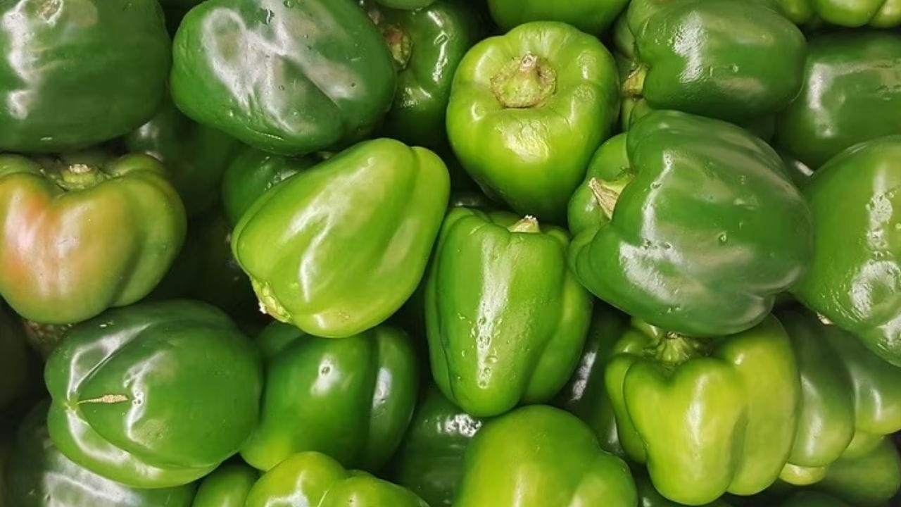 Health Tips for Kidney Vegetables to Keep Your Kidneys Healthy in hindi