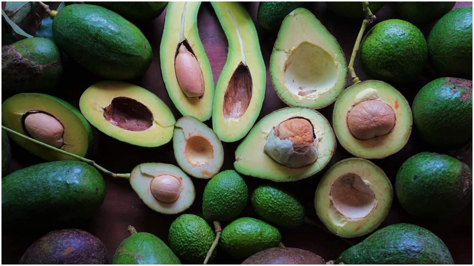 Avocado health Benefits Followed By Celebrities Avocado Ke Fayde