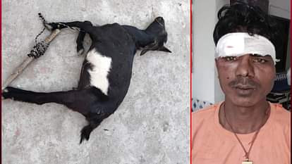 Bihar News : Drunken youth abused and killed a goat purnea bihar police investigation