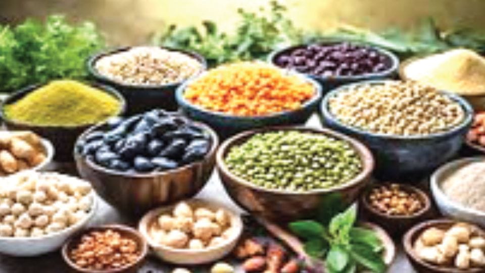 Scientific Studies in six Indian states on protein rich diet rural areas facing deficiency