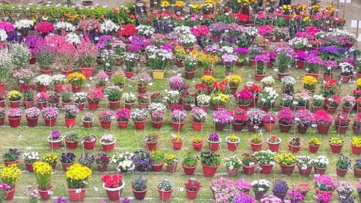 Amar Ujala flower exhibition in Bareilly from 21 to 23 February