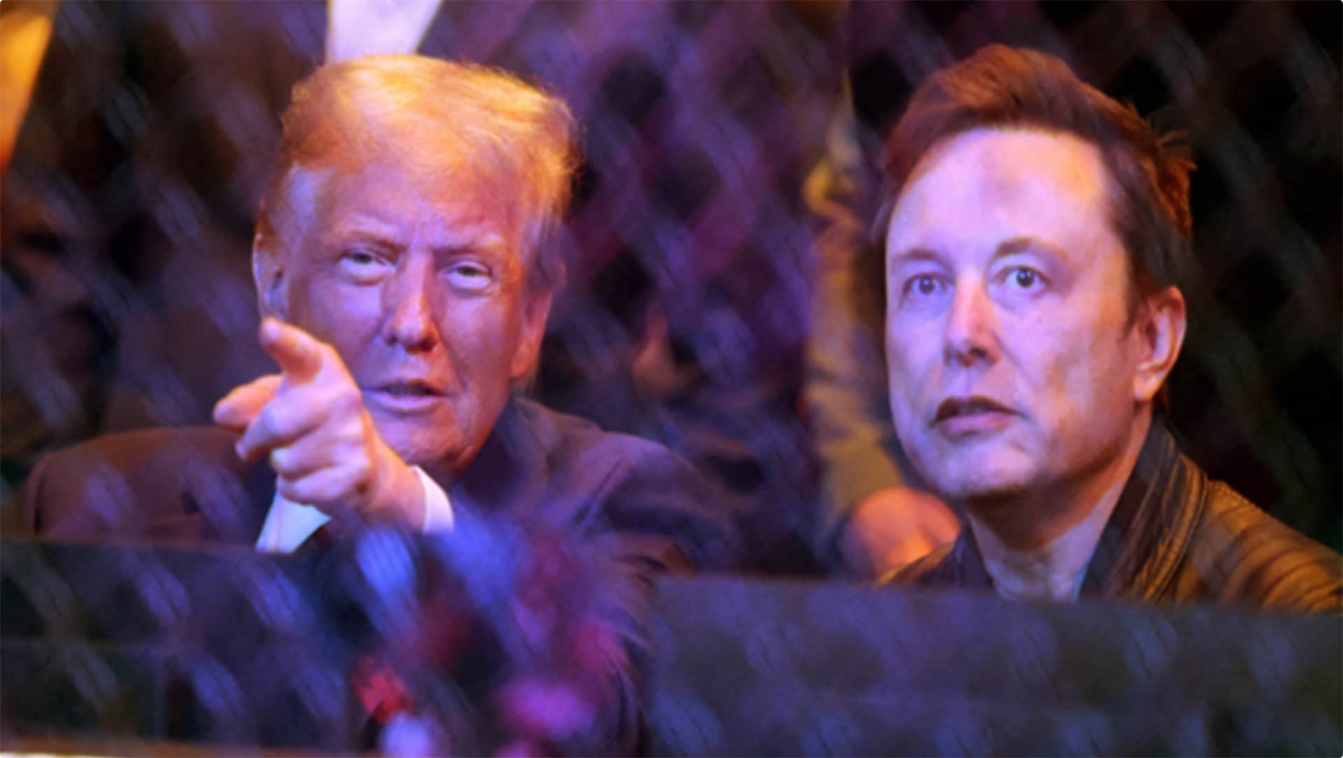 Tesla's Chair Robyn Denholm responds to Tesla CEO Elon Musk replacement rumours