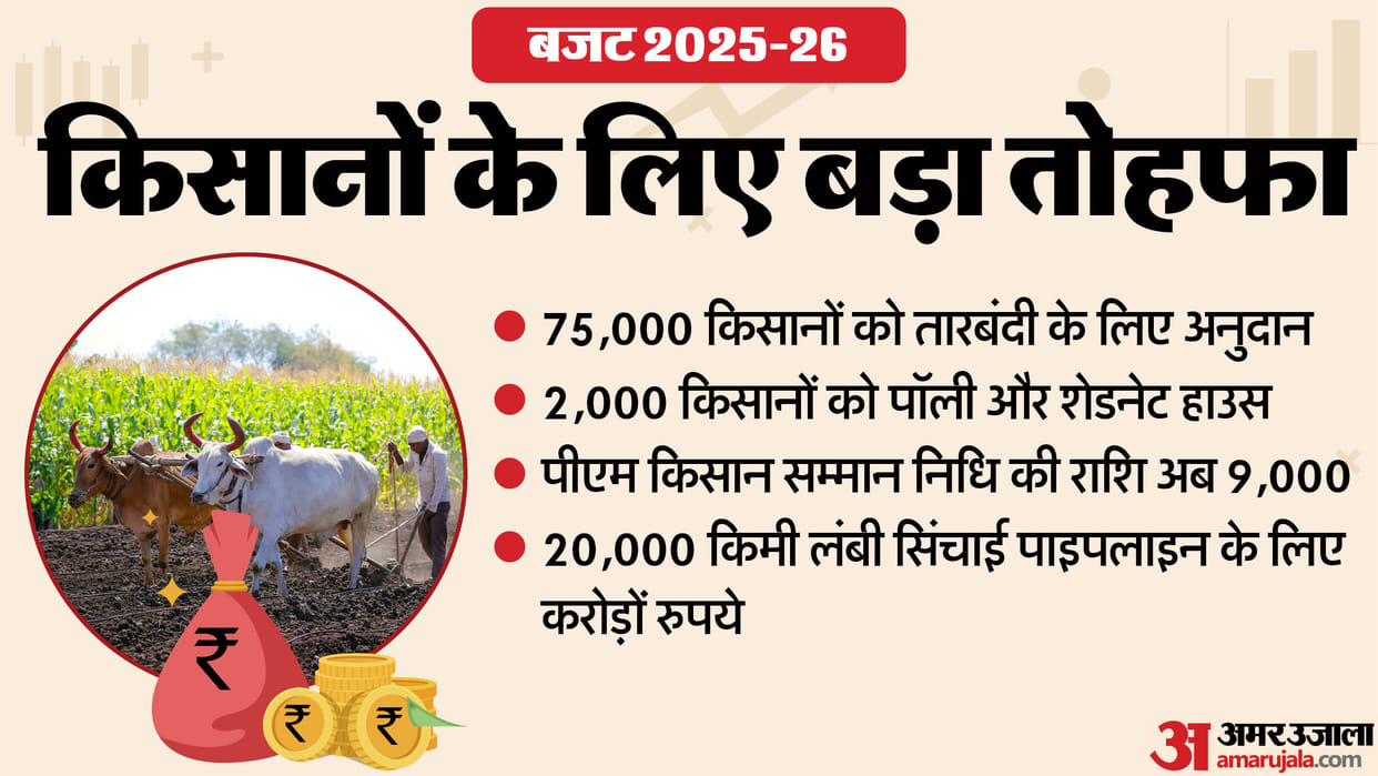 Rajasthan Budget 2025 PM Kisan Samman Nidhi Increased Boost for Agriculture & Irrigation