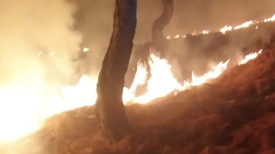 Bhetuli forests kept burning for seven hours in almora