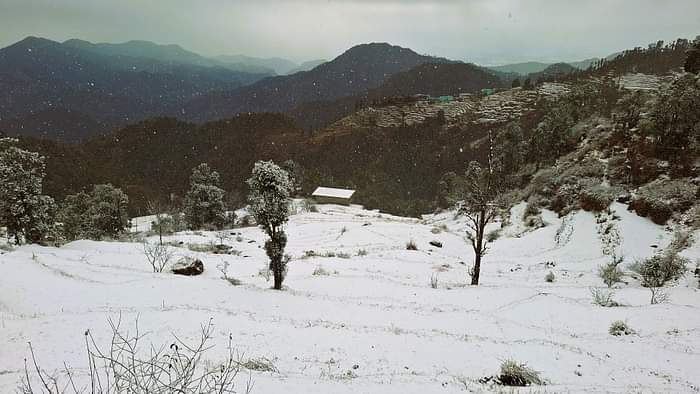 Uttarakhand Weather Heavy Snowfall in Dhanaulti Chakrata Tourist Enjoy See Beautiful Photos