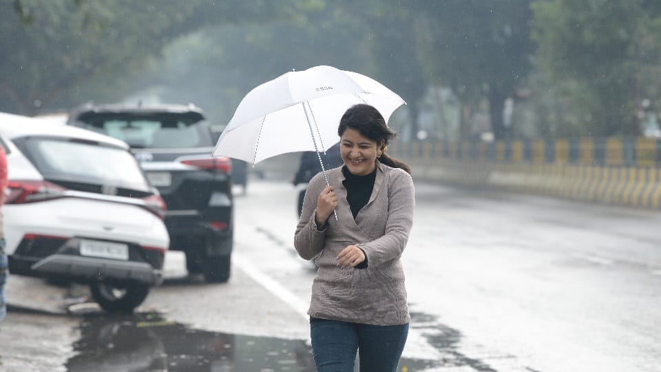 बारिश के बीच छाता लेकर जाती युवती।