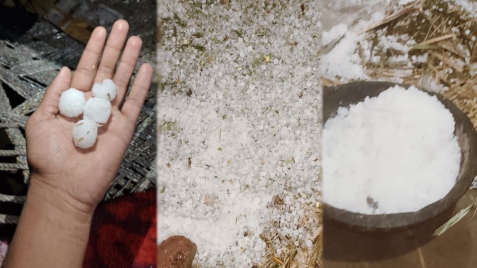 Weather Update West UP: Rain in many districts of western UP, hailstorm in Baghpat