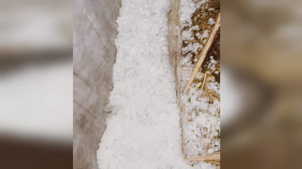Weather Update West UP: Rain in many districts of western UP, hailstorm in Baghpat