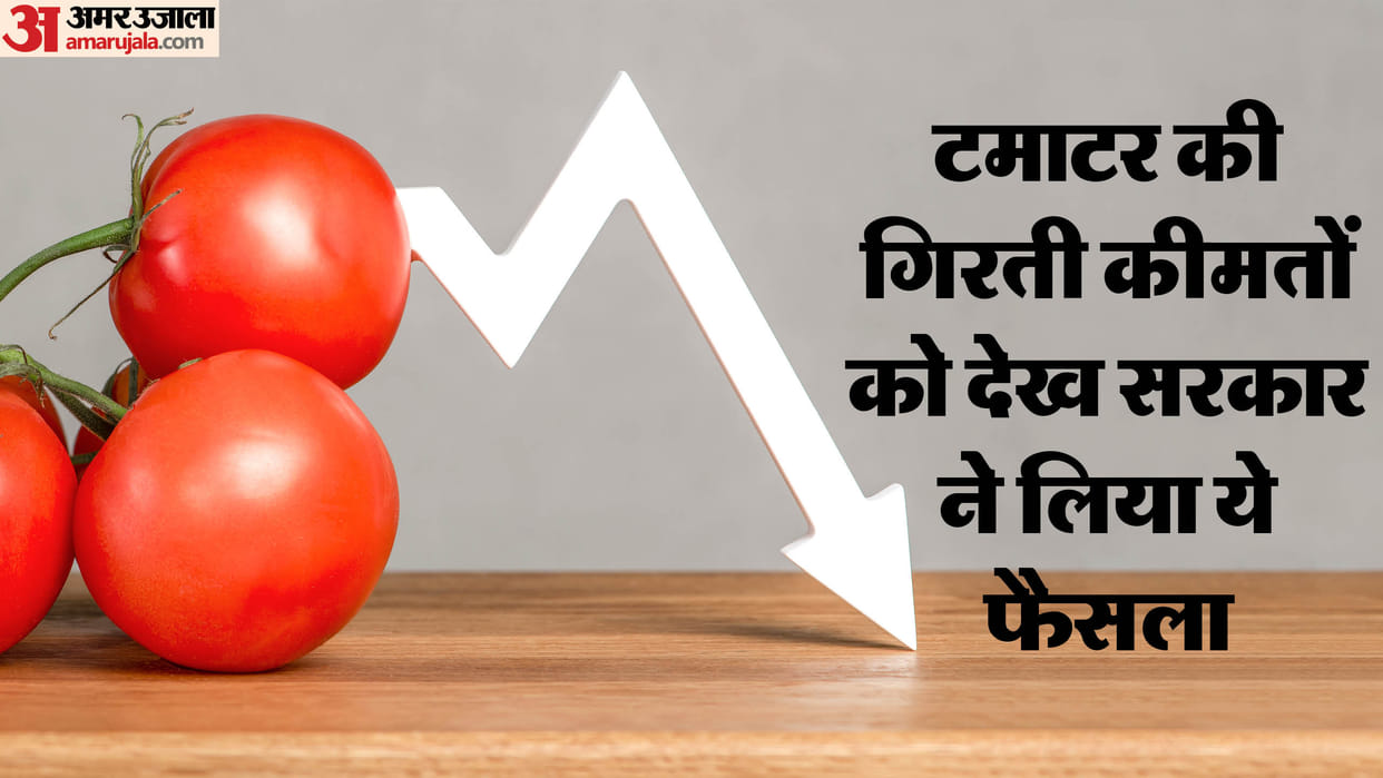 People will get relief from expensive tomatoes in Delhi central govt has taken decision regarding farmers