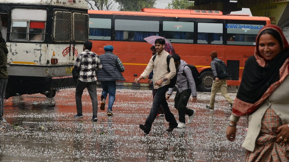 Rain and hailstorm in many places in punjab weather update see photos