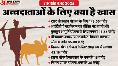 Uttarakhand Budget 2025 Know what provision for youth women farmers and other All Update