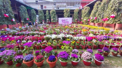 people gathered on the second day in Amar Ujala Flower Show