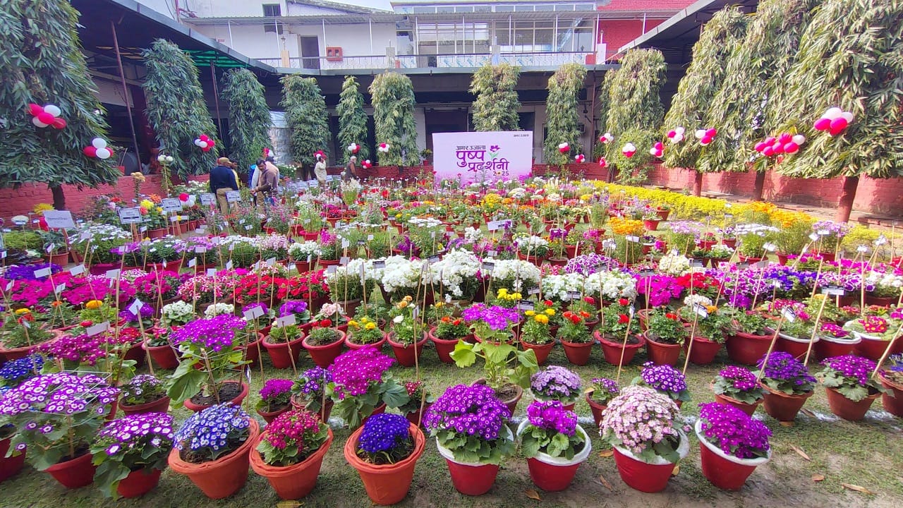 flowers of the cantonment stole the show won 48 awards in Amar Ujala Flower Show