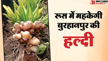 Burhanpur News: Turmeric from Burhanpur shines in 'Namaste Bharat' exhibition held in Russia